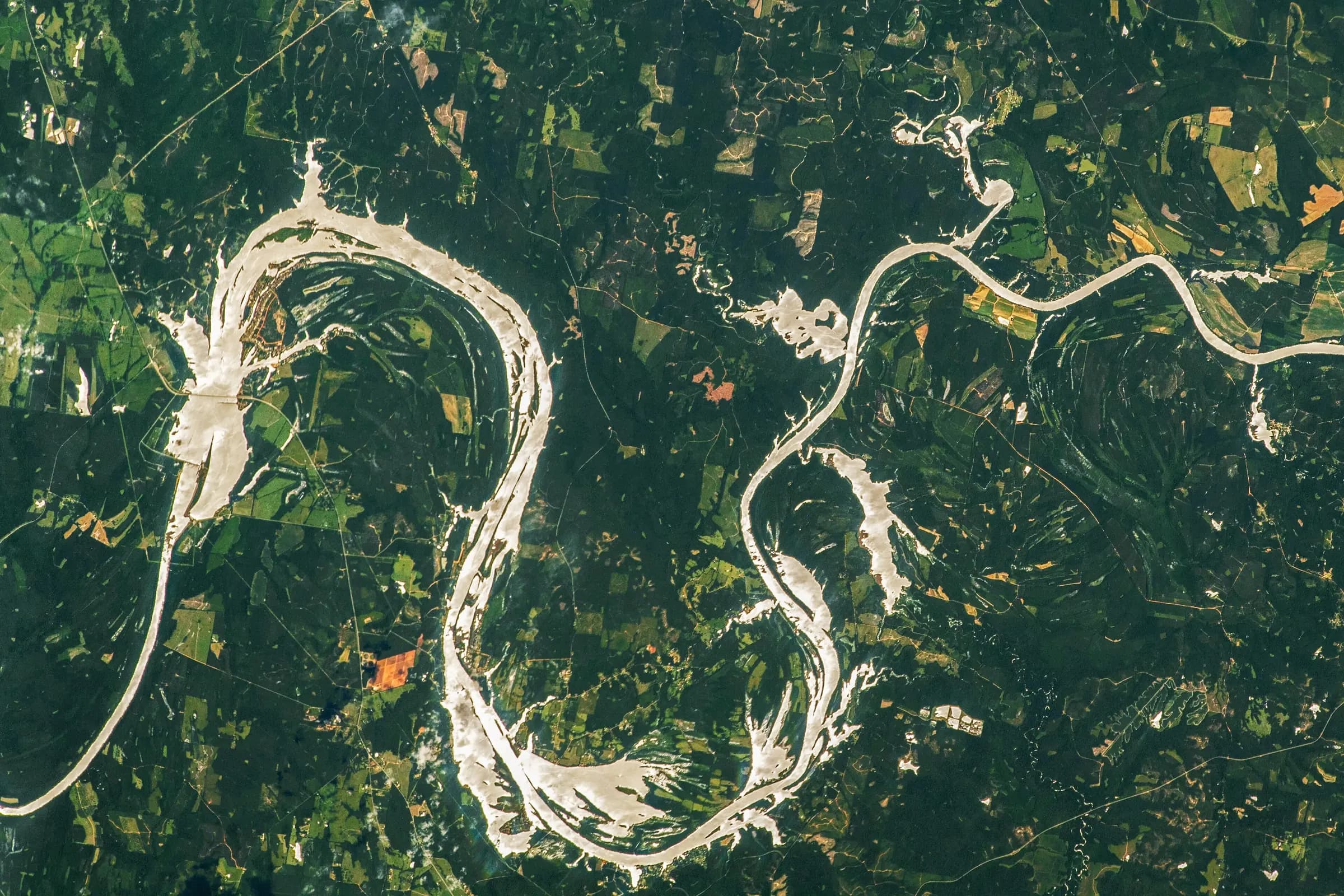 Gee's Bend on the Alabama River, Alabama (astronaut photograph)