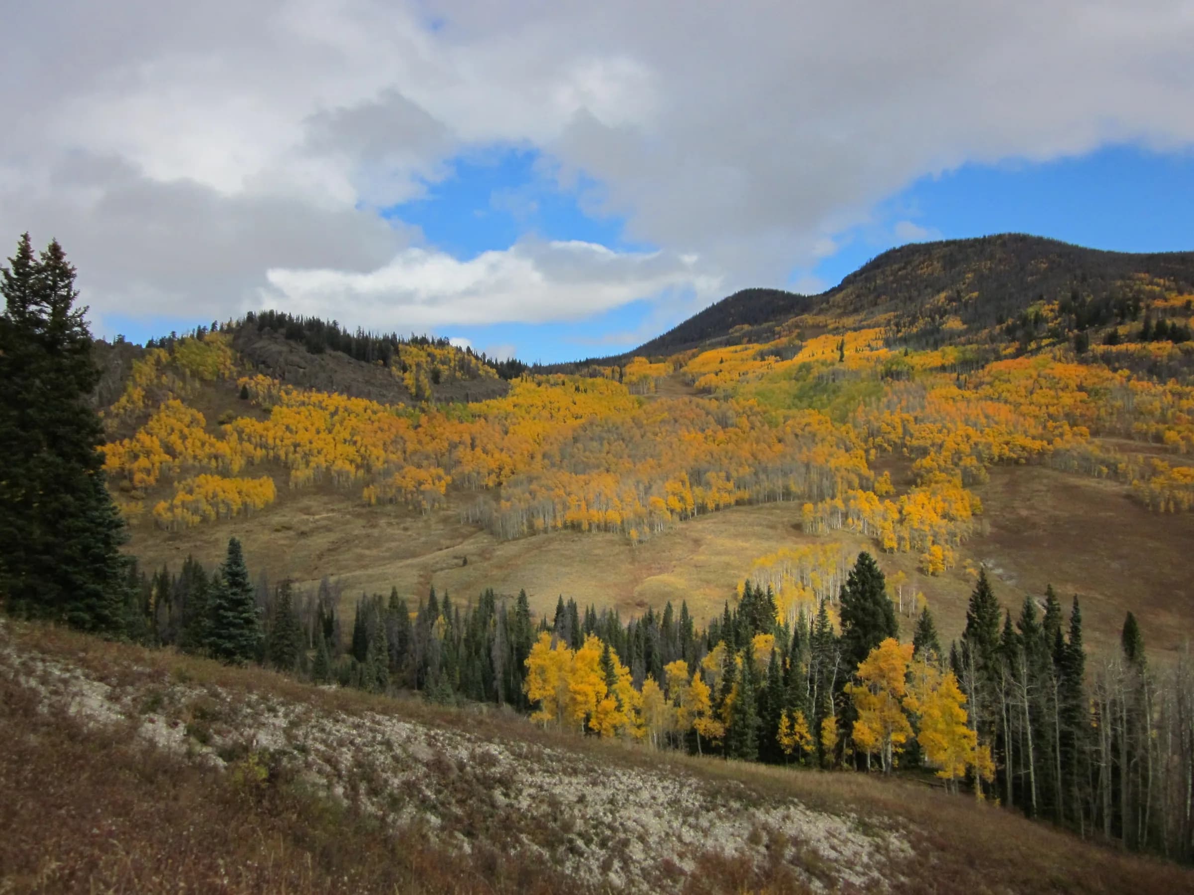 Arapaho National Forest, Colorado