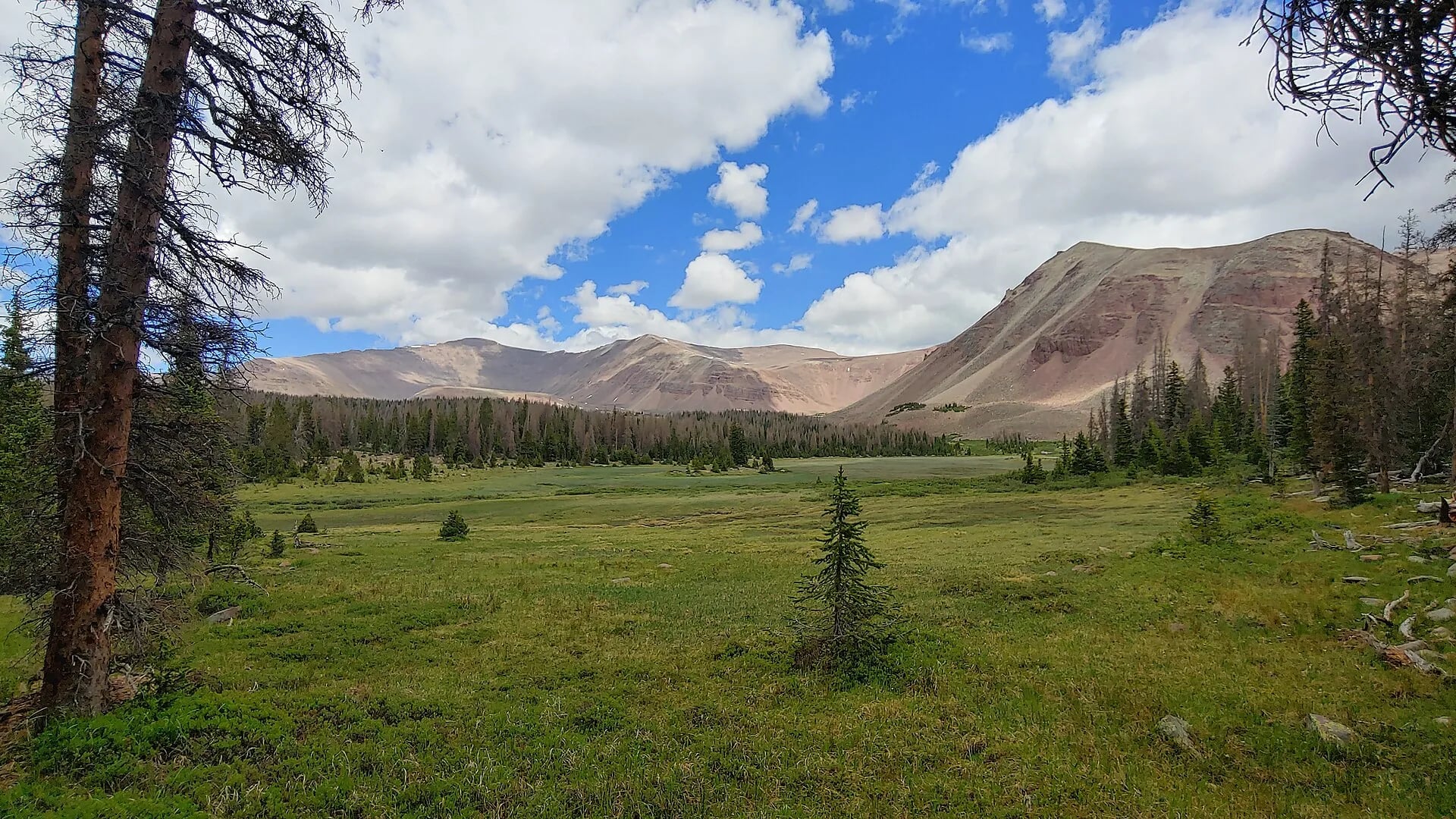 Alpine basin near Milk Lake, Ashley National Forest, Utah