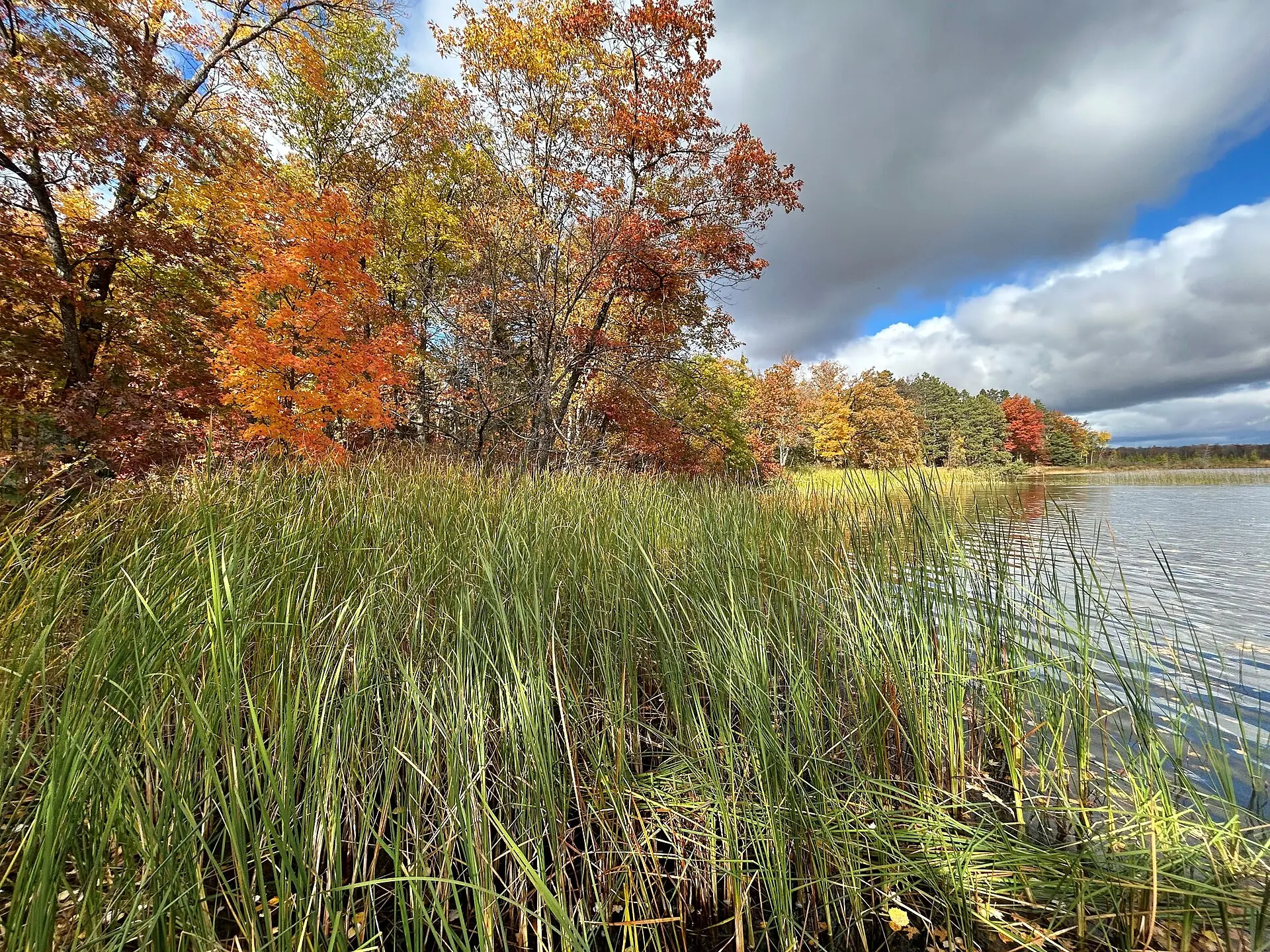 Autumn at Trelipe Lake, Chippewa National Forest, Minnesota