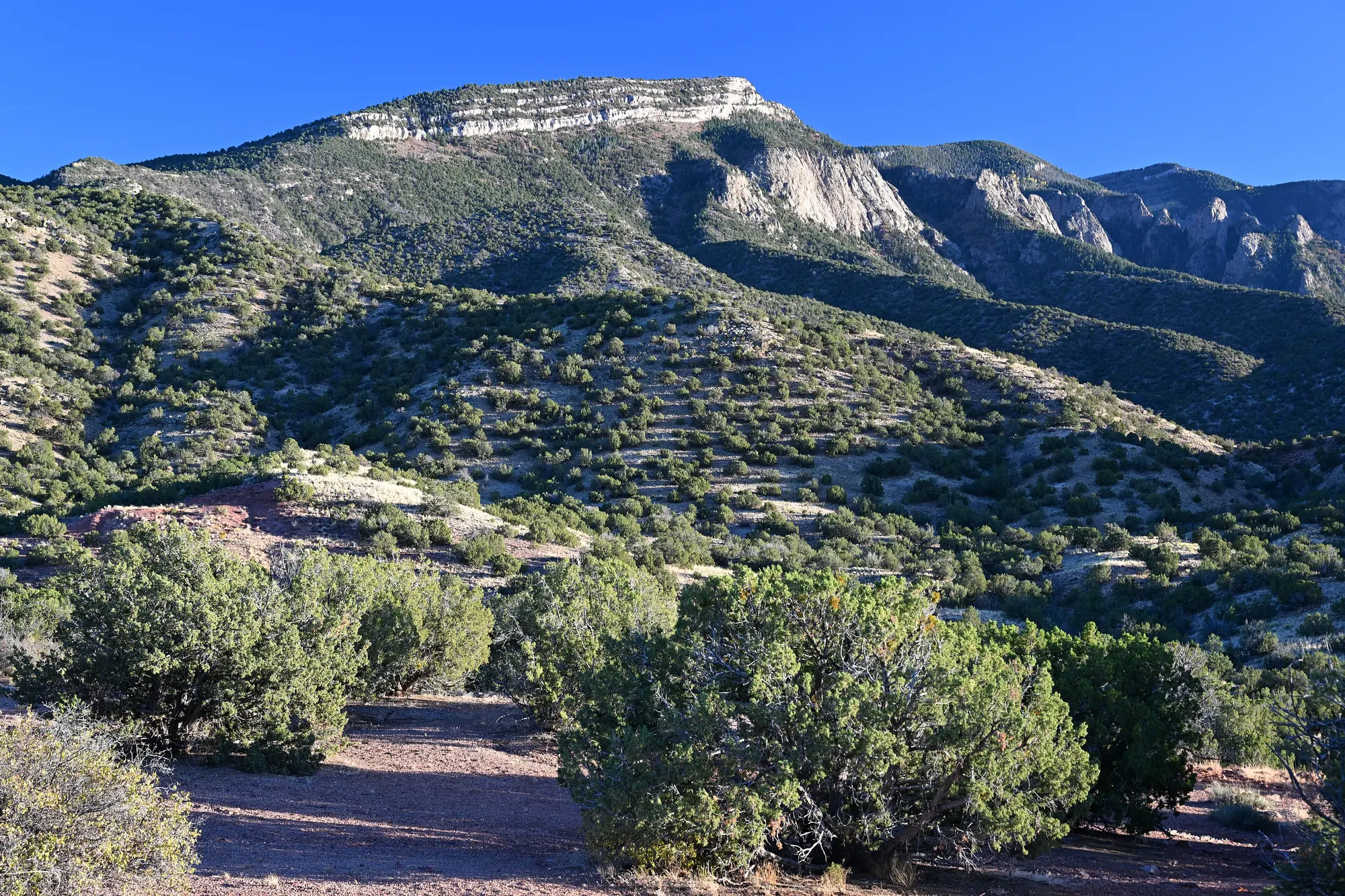 Cibola National Forest from Chalk Dust Trail, New Mexico