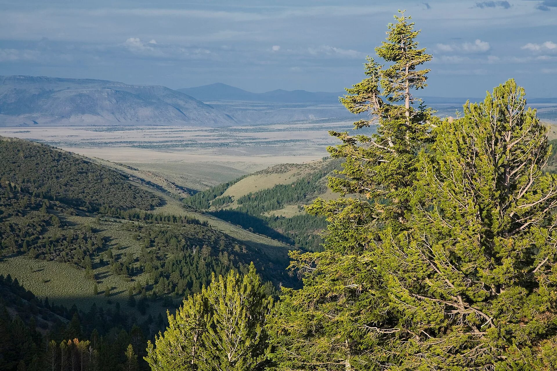 Twelve Mile Butte, Fremont-Winema National Forest, Oregon