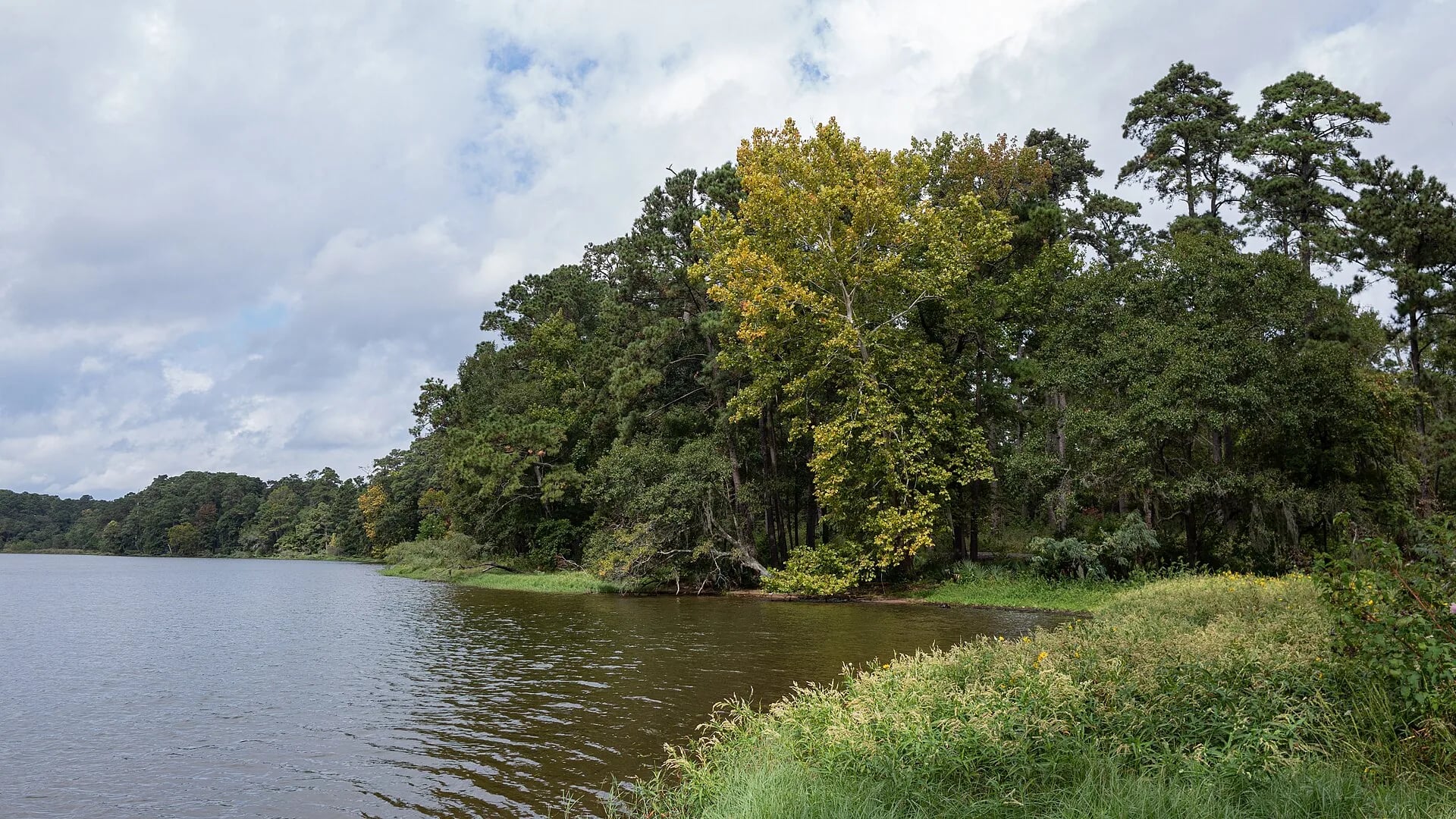 Lake Conroe, Sam Houston National Forest, Texas