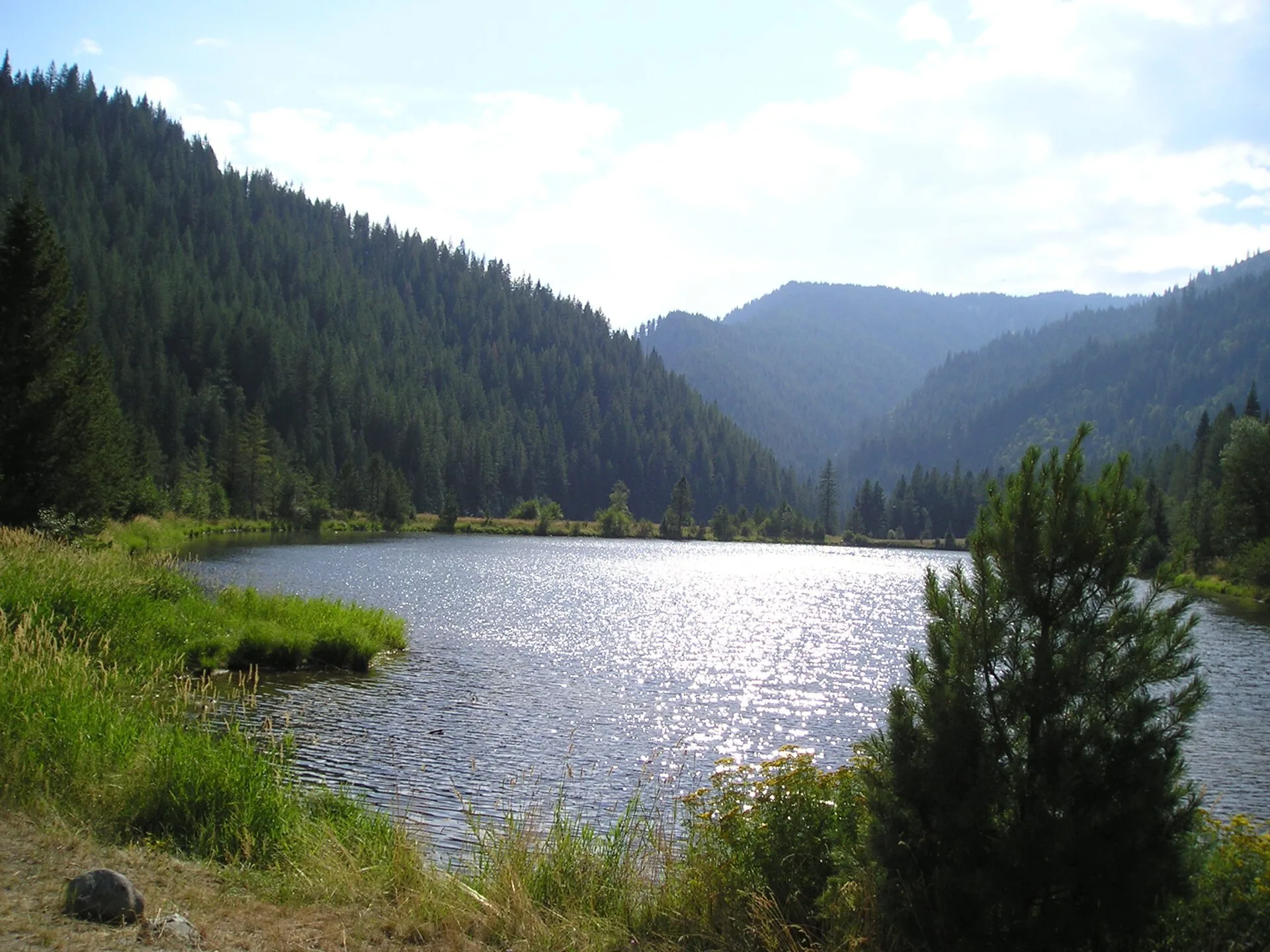 Cold Springs Pond, Clearwater National Forest, Idaho