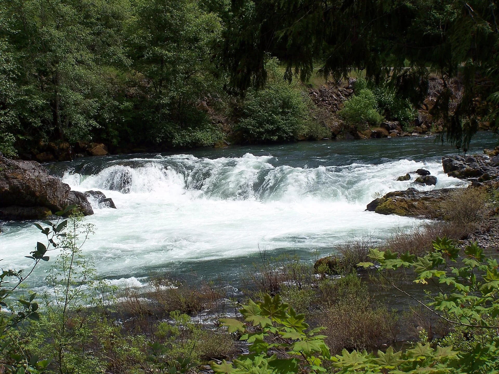 Deadline Falls on the North Umpqua River, Oregon