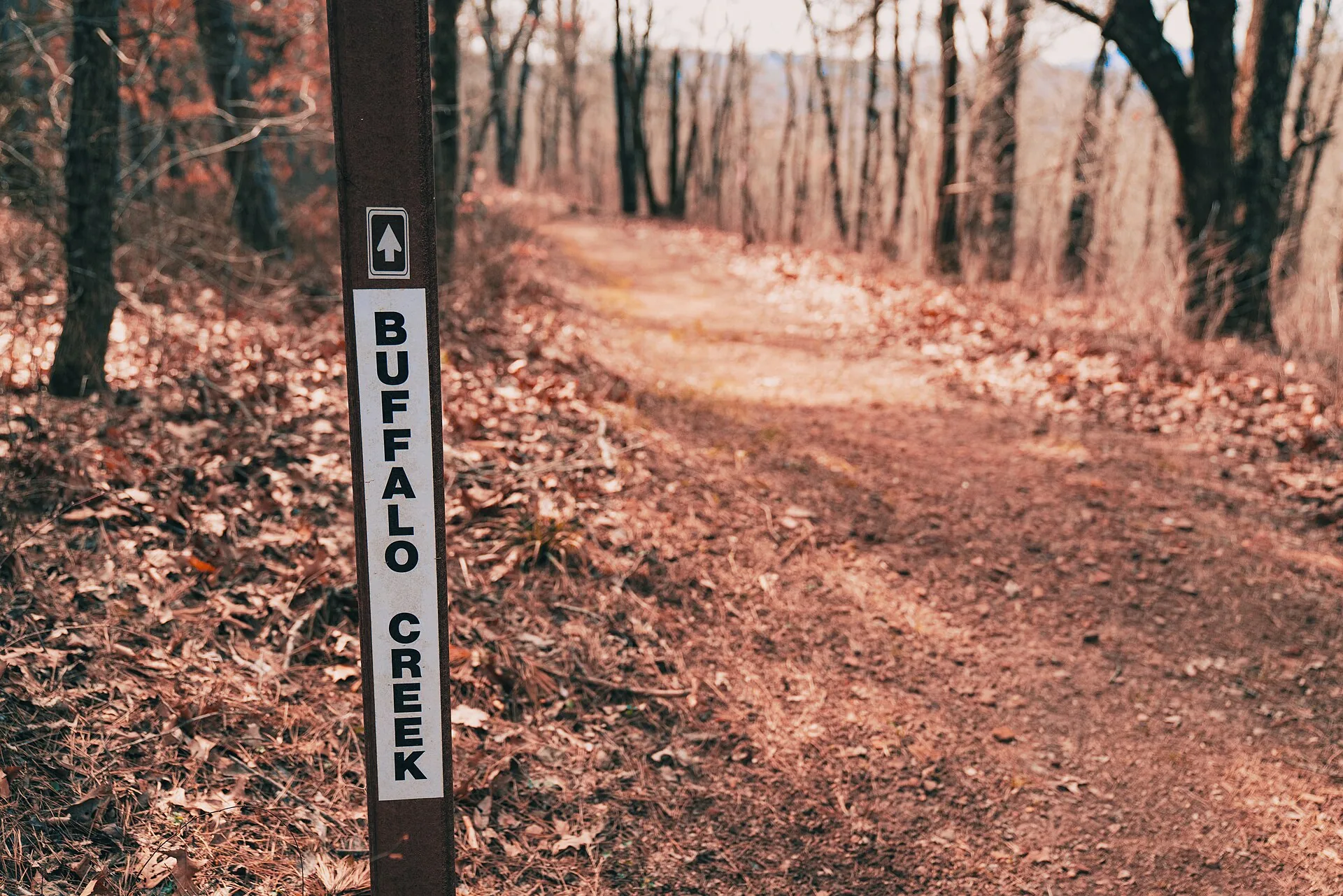 Buffalo Creek Trail, Ozark National Forest, Arkansas