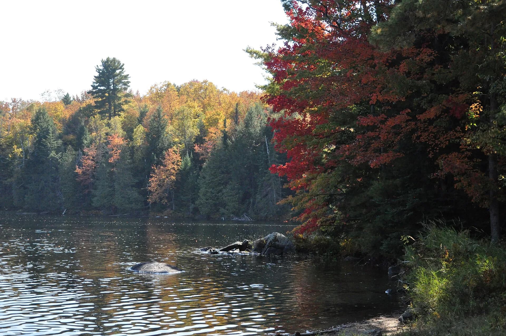 Autumn on the shore of Silent Lake Provincial Park, Ontario