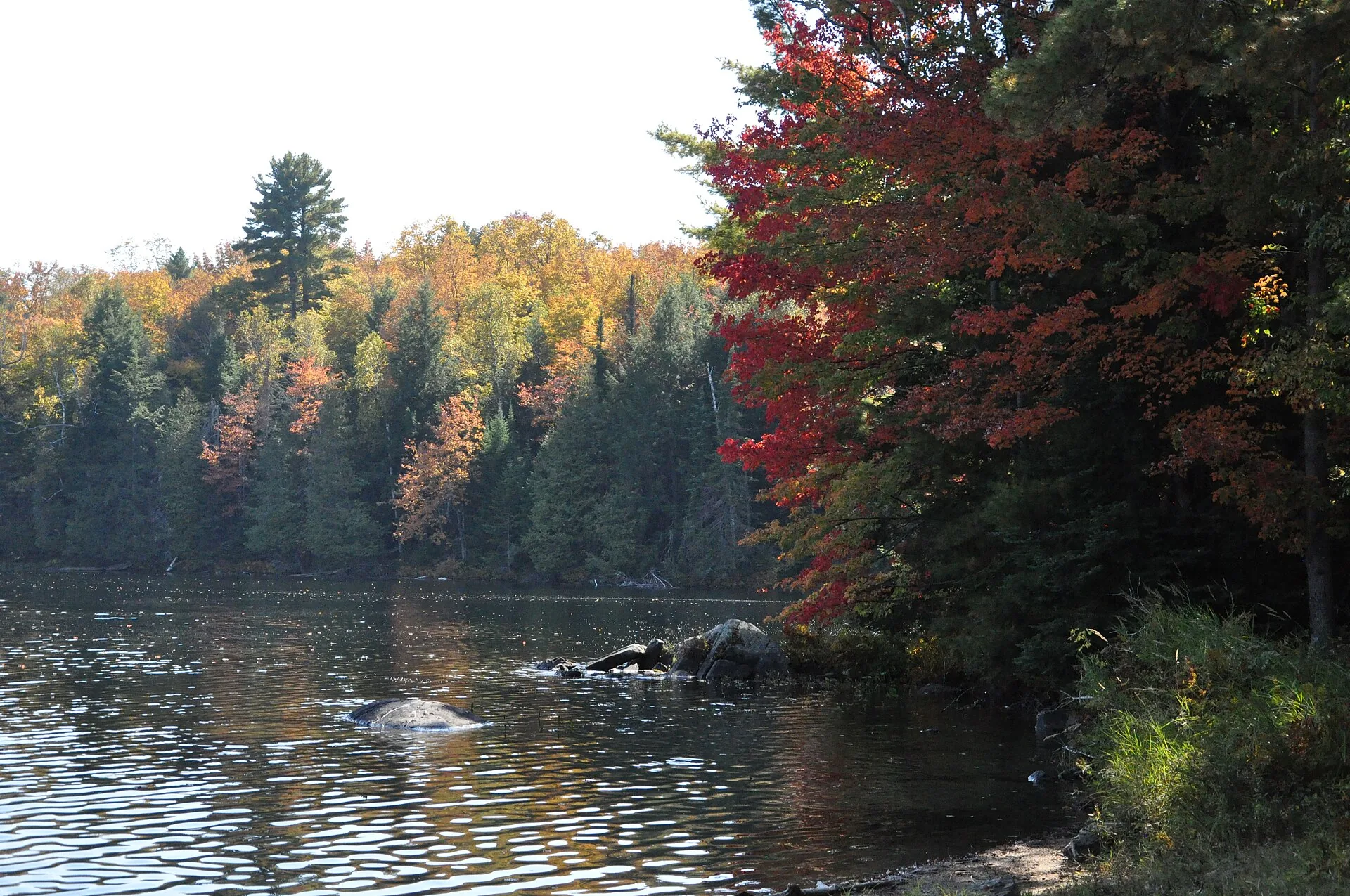 Autumn on the shore of Silent Lake Provincial Park, Ontario