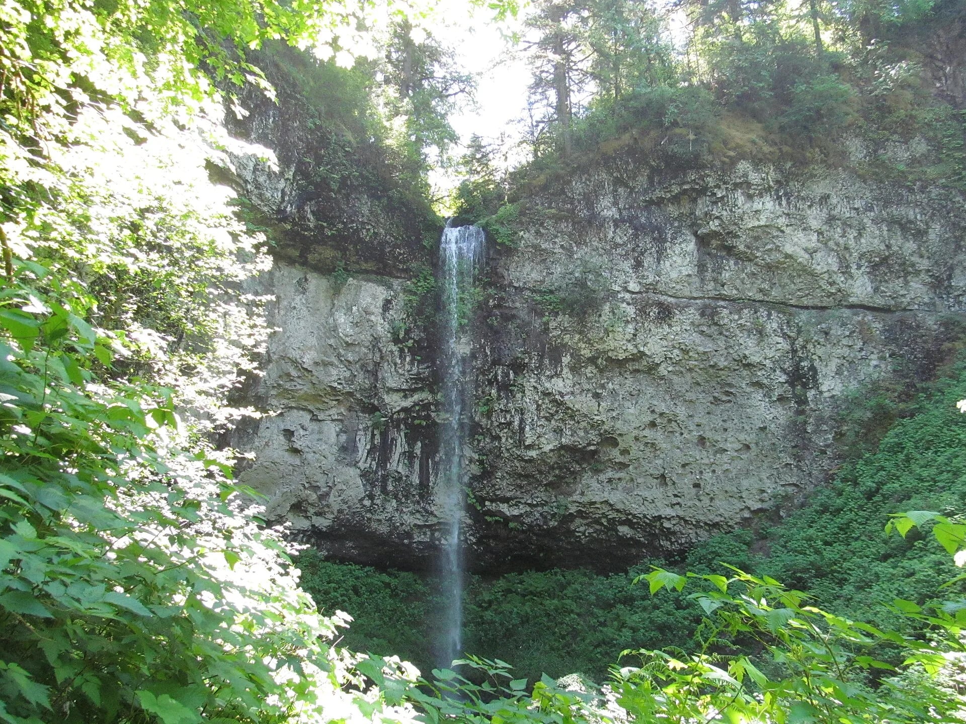Pheasant Creek Falls, Siuslaw National Forest, Oregon