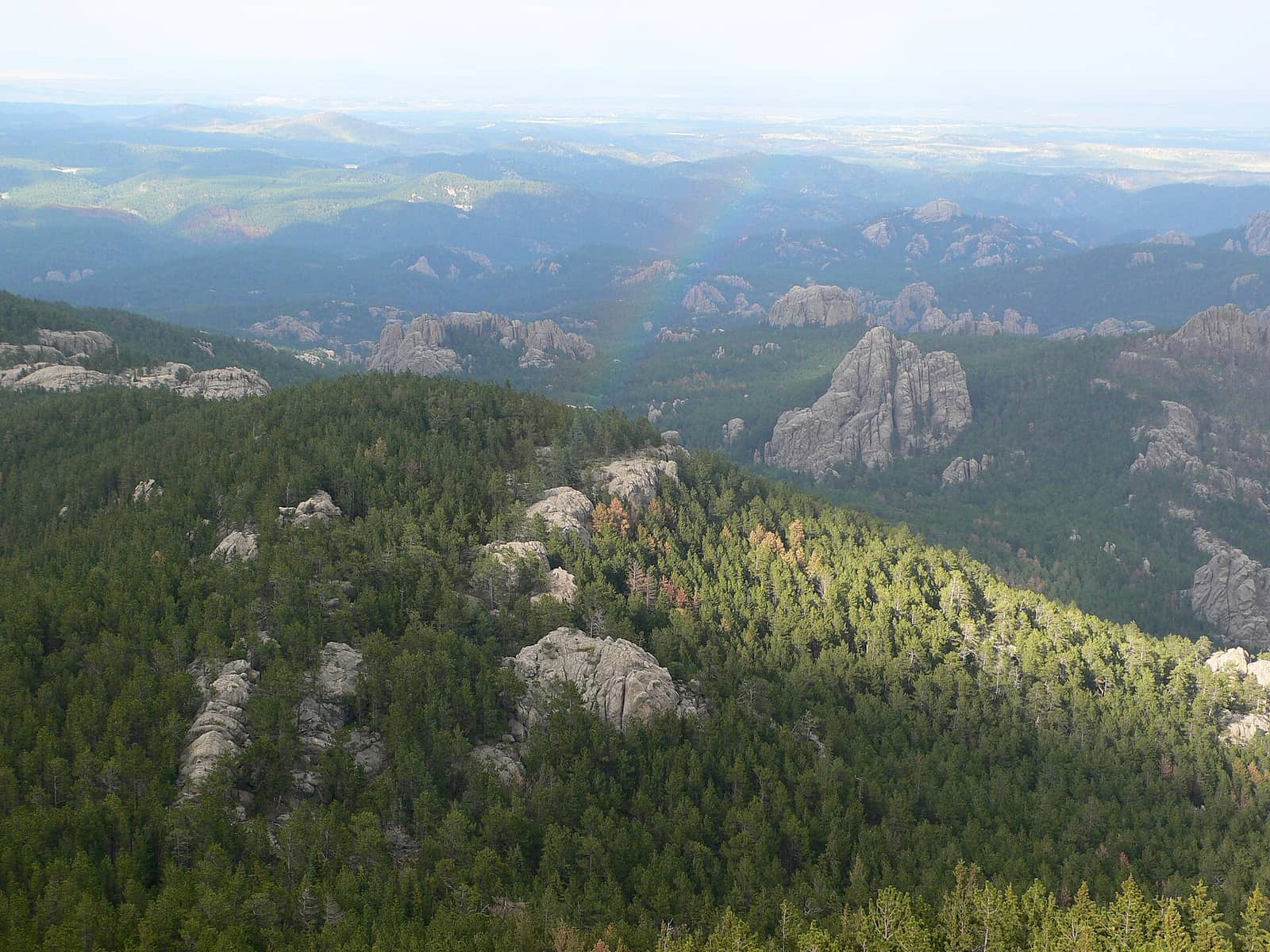 Black Hills National Forest