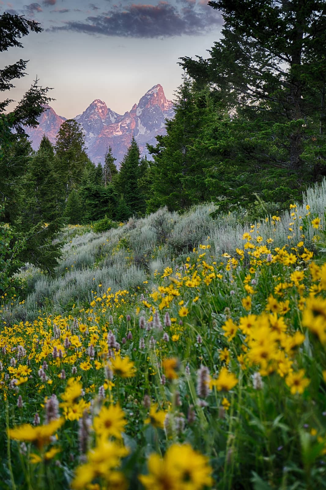 Bridger-Teton National Forest