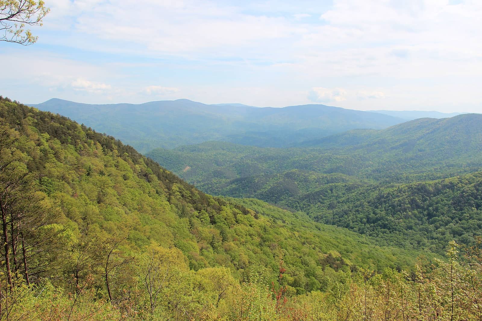 Chattahoochee-Oconee National Forest