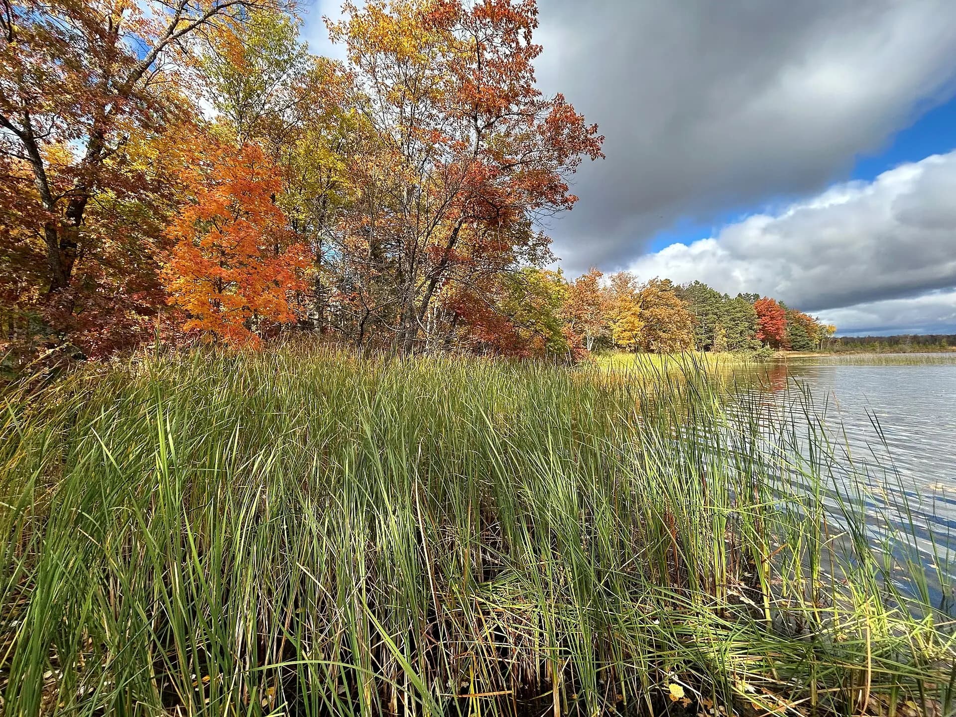 Autumn at Trelipe Lake, Chippewa National Forest, Minnesota
