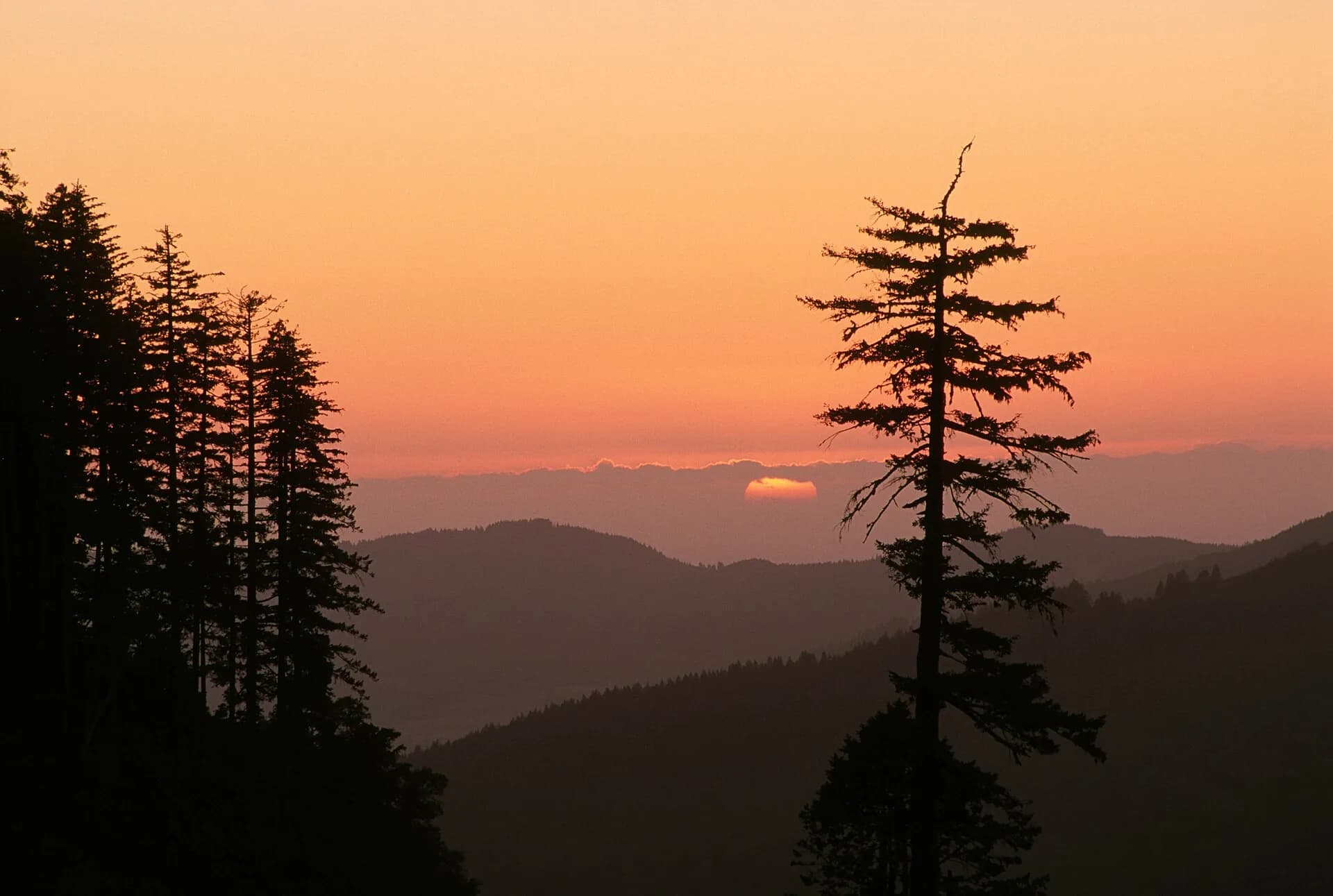 Sunset in Rogue River-Siskiyou National Forest, Oregon