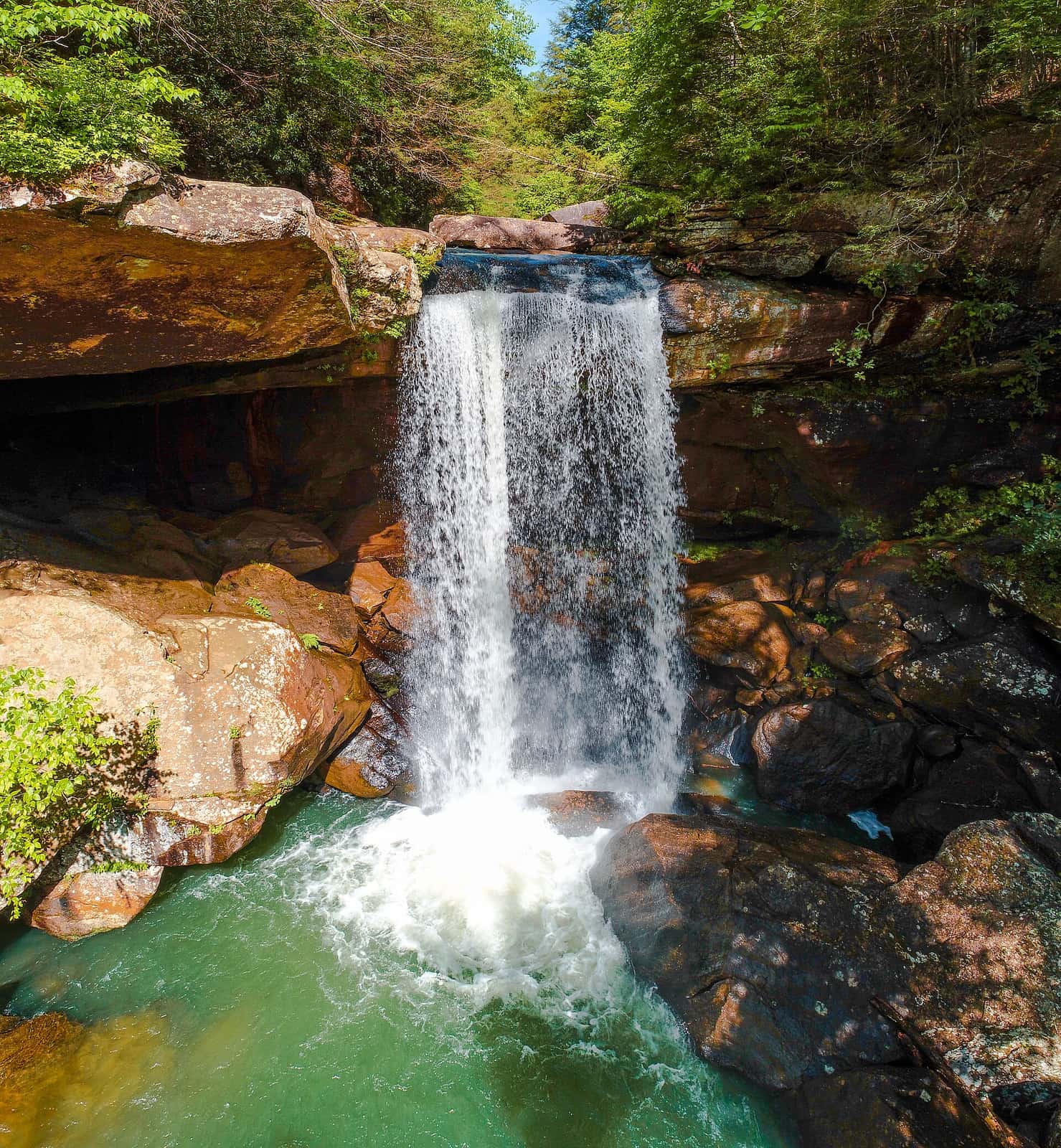 Daniel Boone National Forest