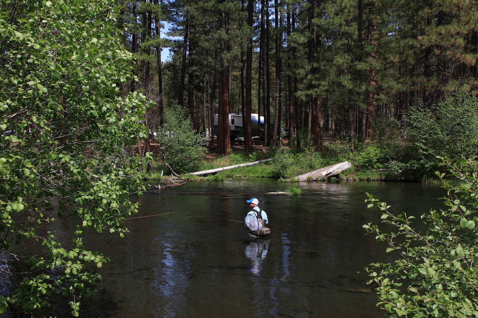 Deschutes National Forest