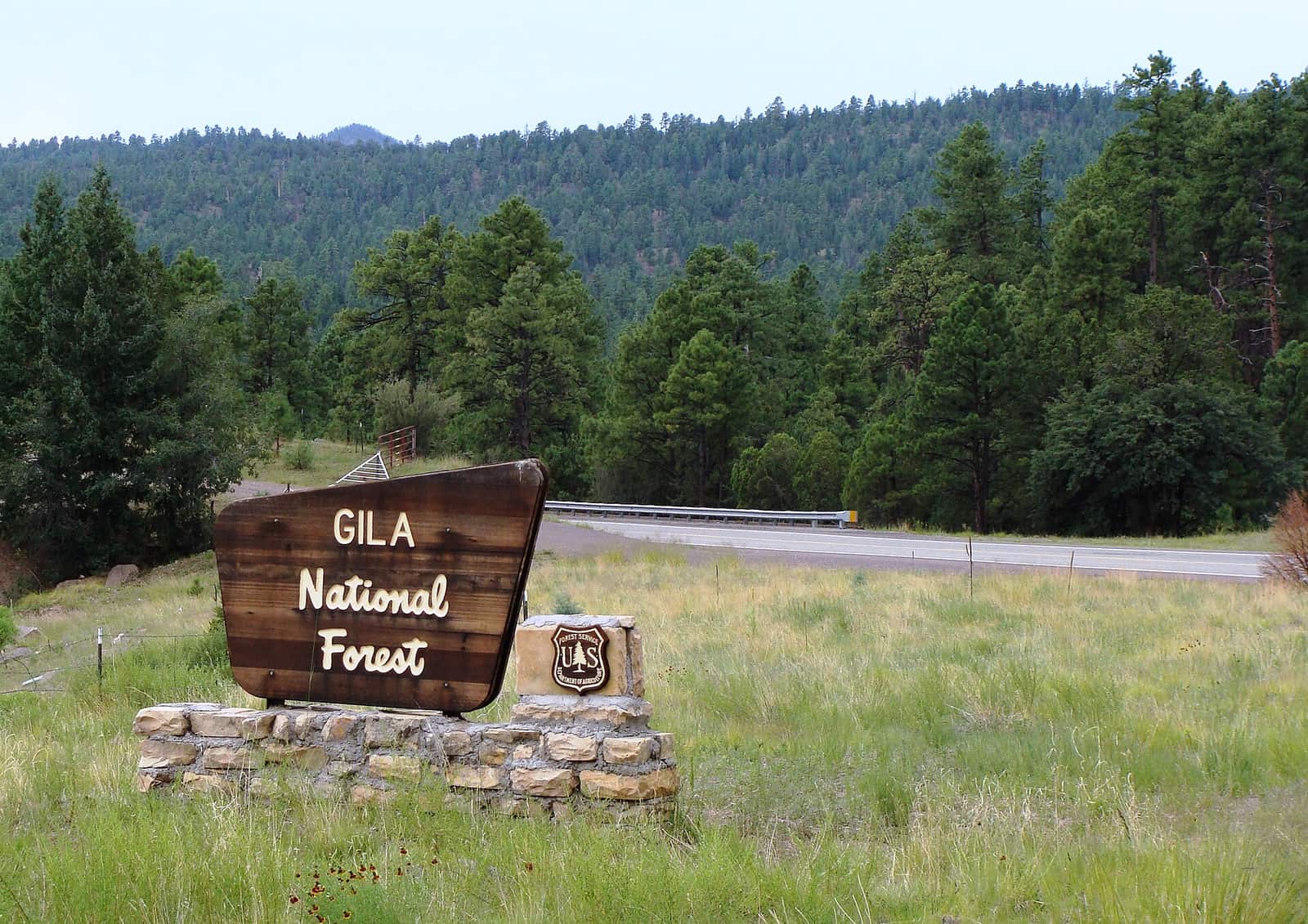 Gila Natl Forest Nima1