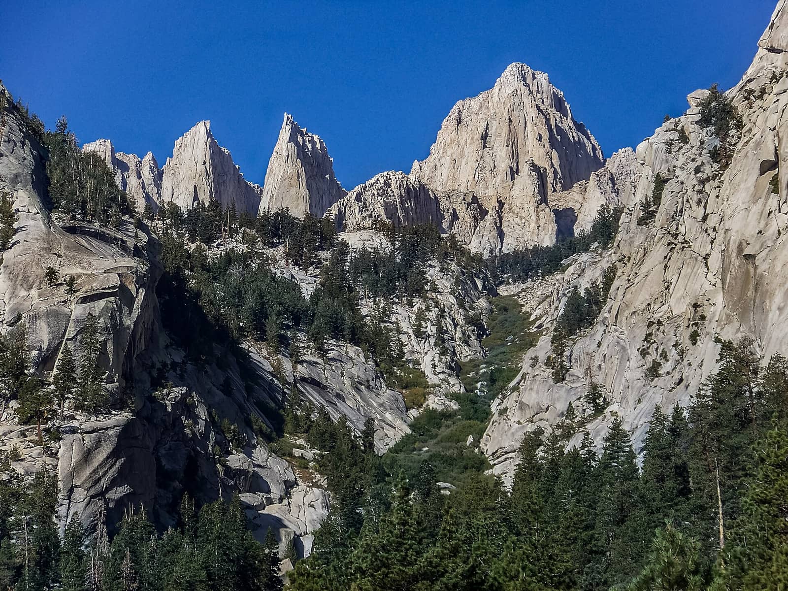 Inyo National Forest