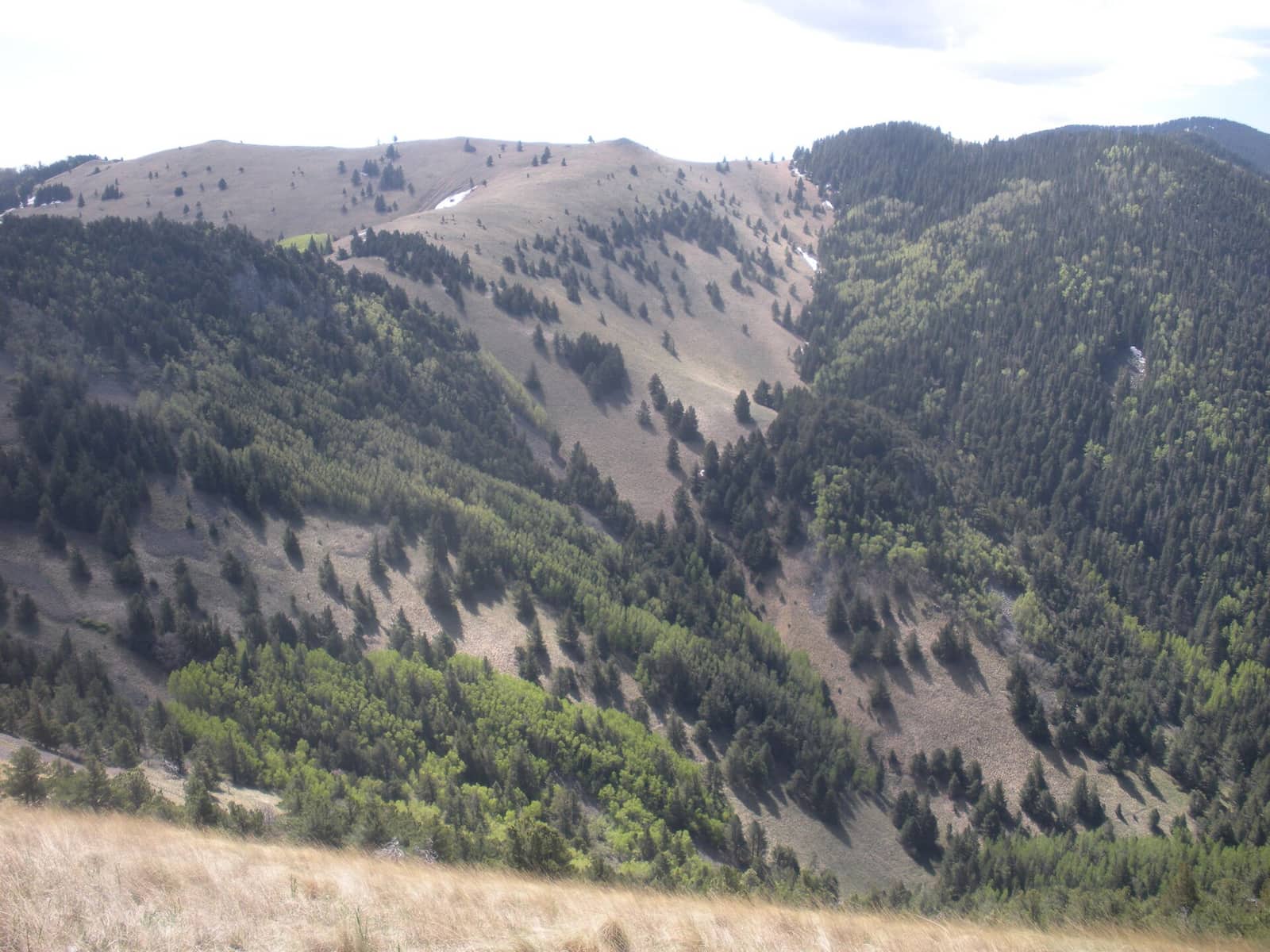 Lincoln National Forest along Crest Trail-Terrain