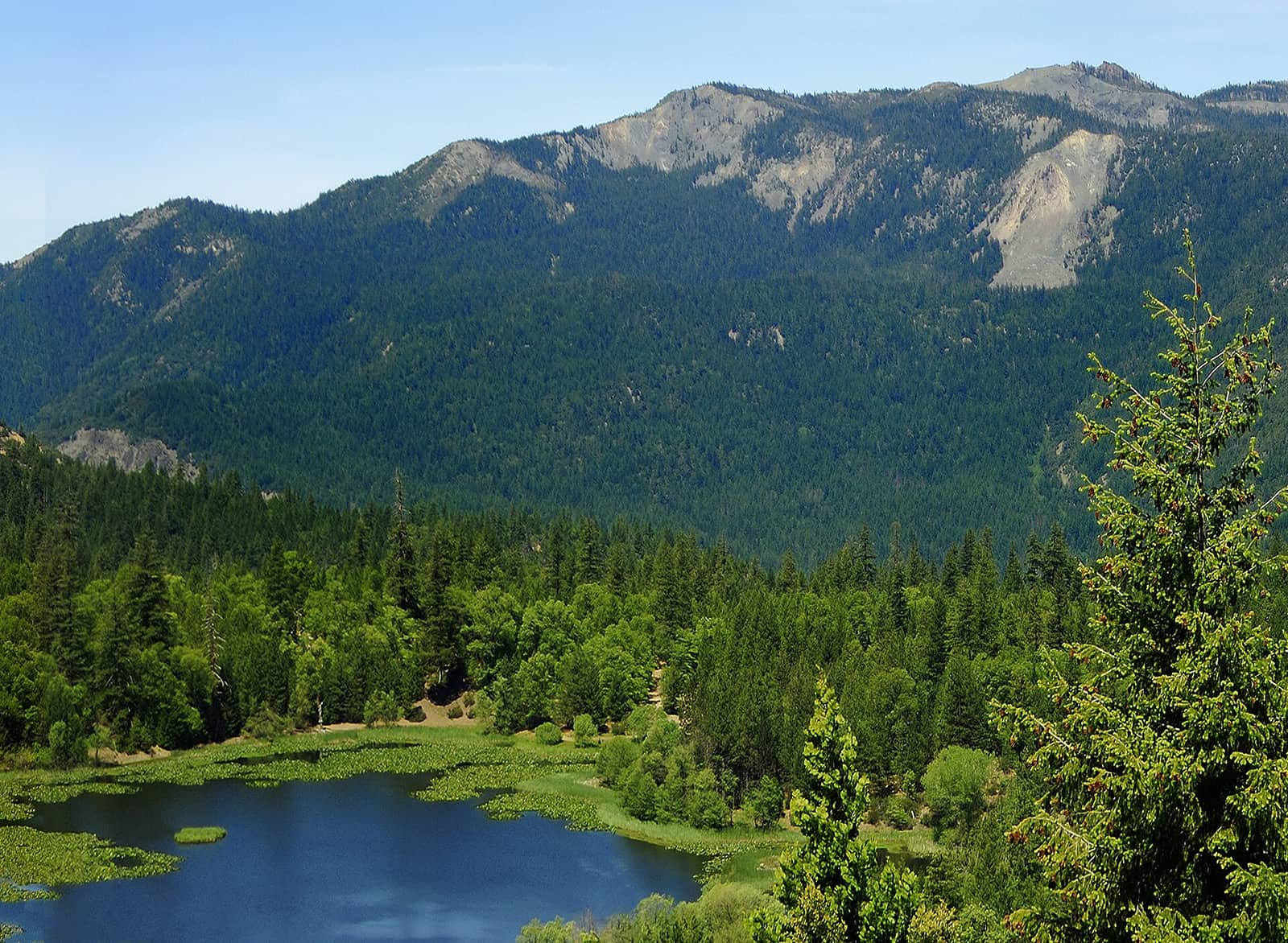 Mendocino National Forest