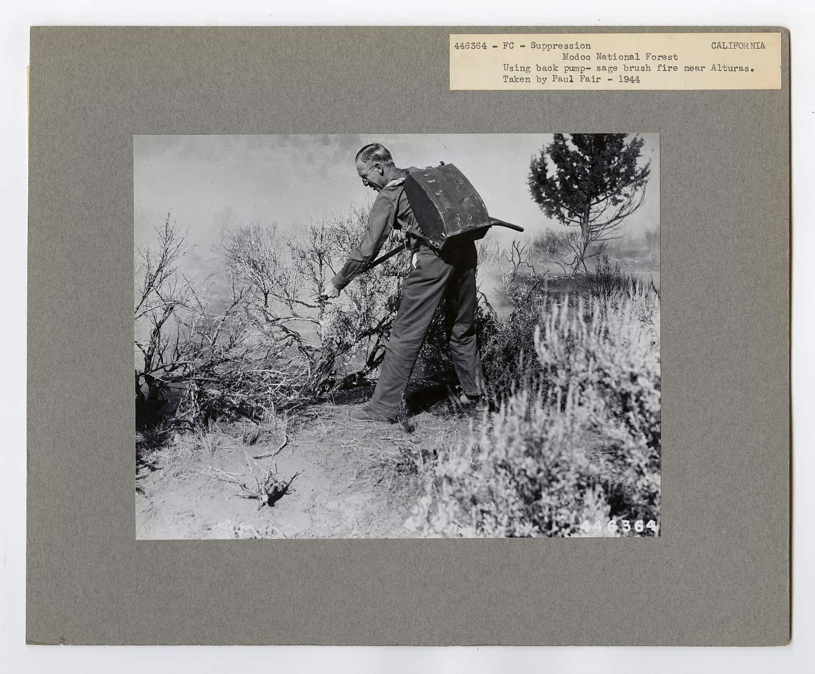 Fire Suppression- Ground Mop Up - All States - DPLA - e3b5609c682414971b9954d650ef3386