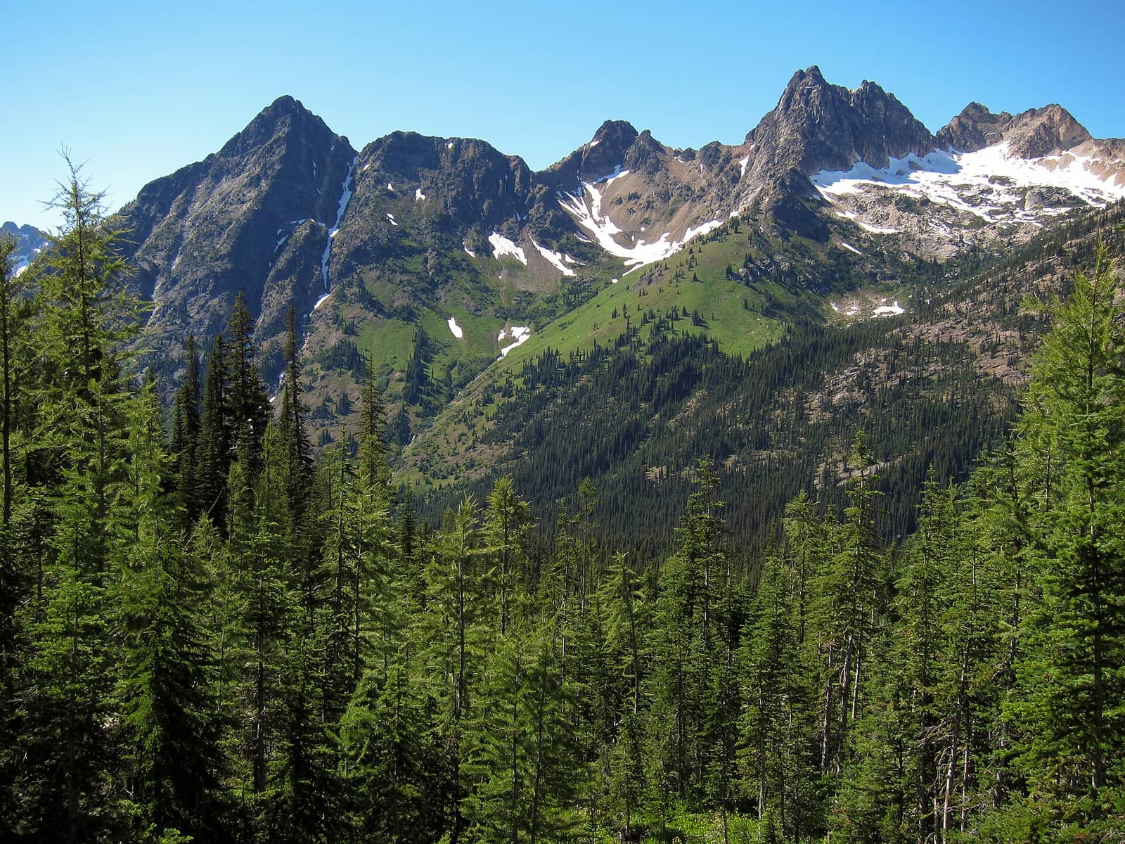 Okanogan-Wenatchee National Forest