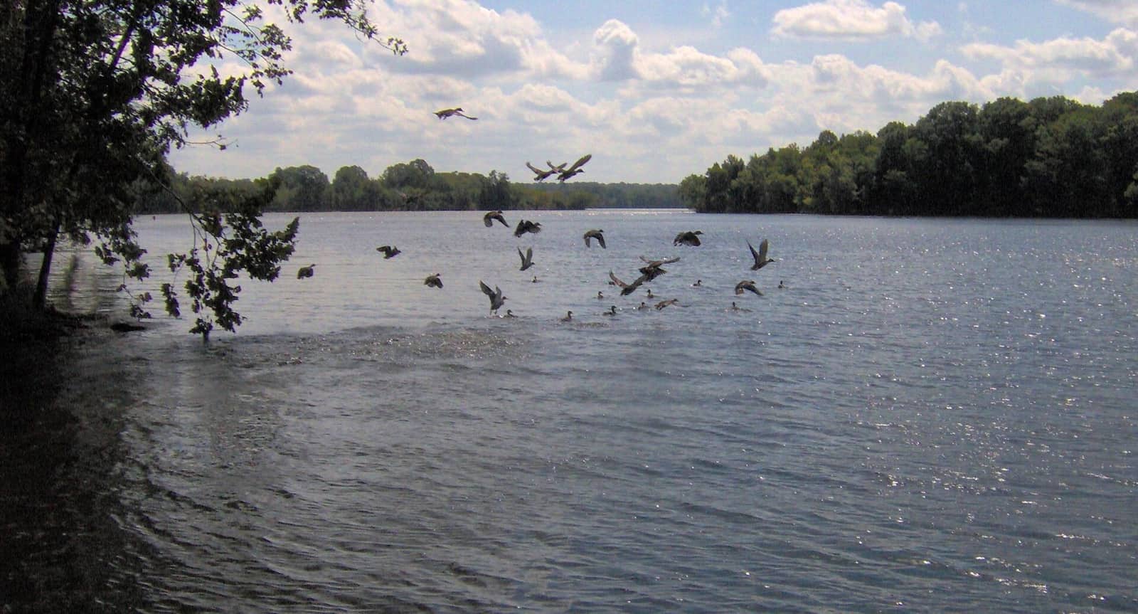 Old-hickory-lake-bledsoe-tn1