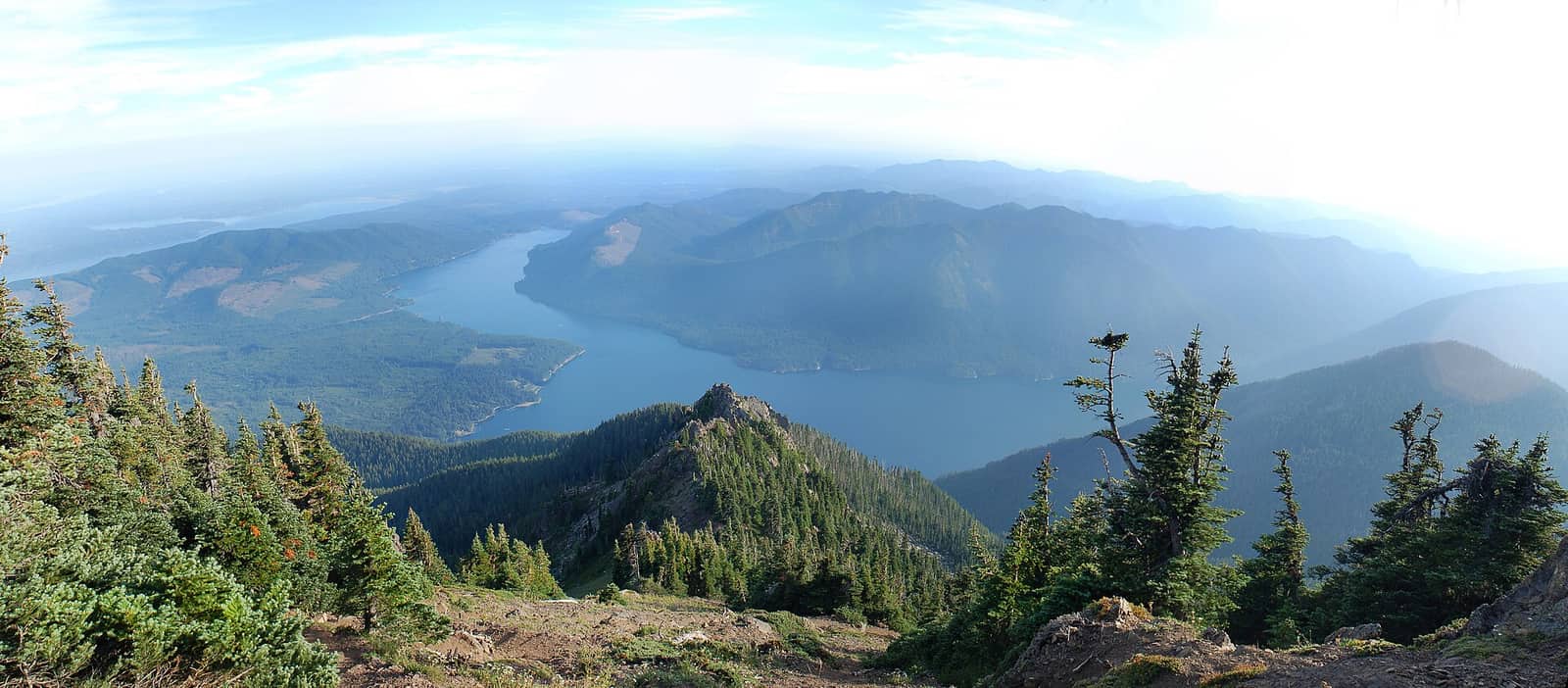 Olympic National Forest