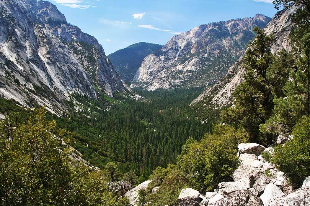 Sequoia Kings Canyon National Parks