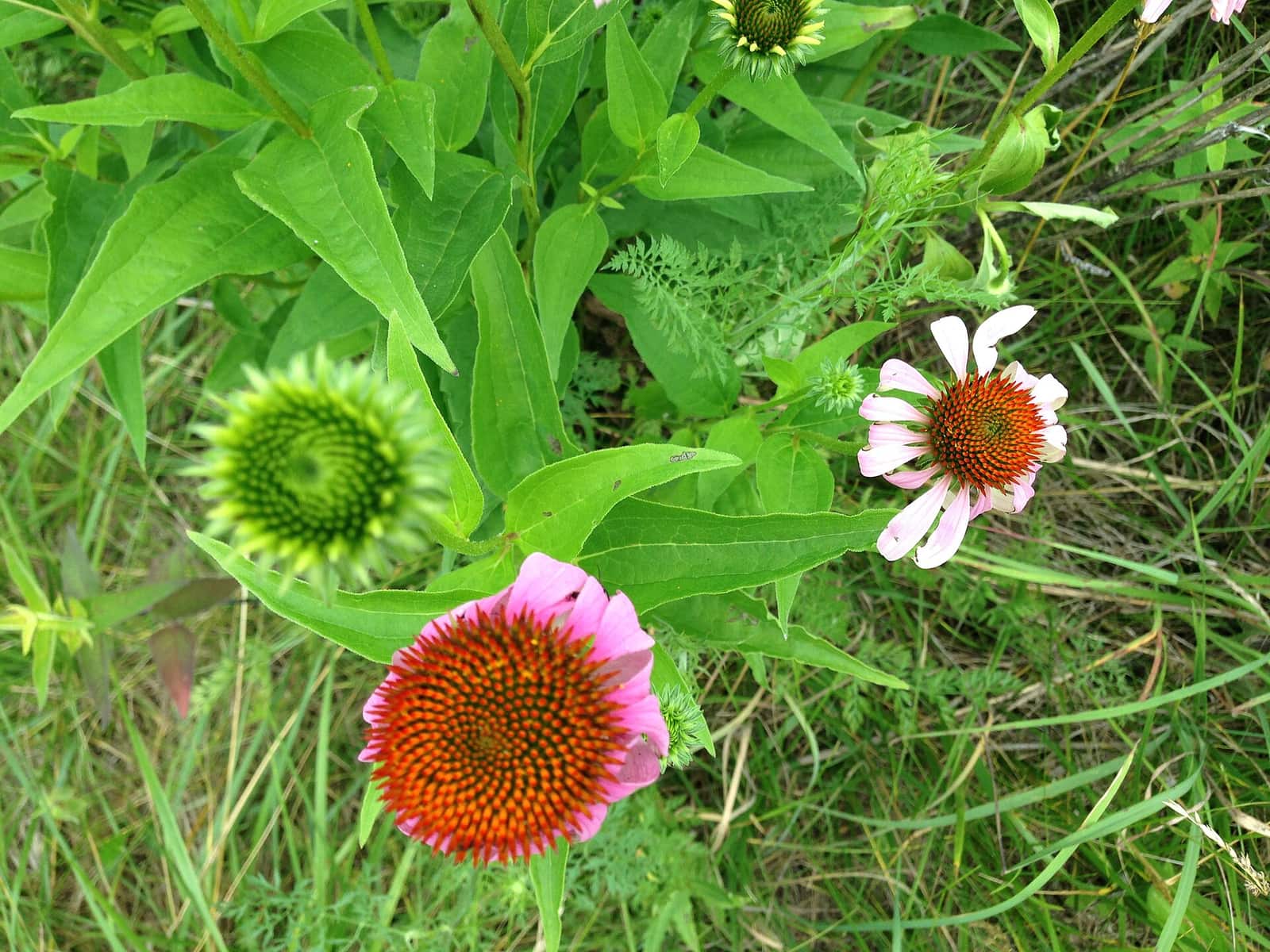 Buck Creek State Park