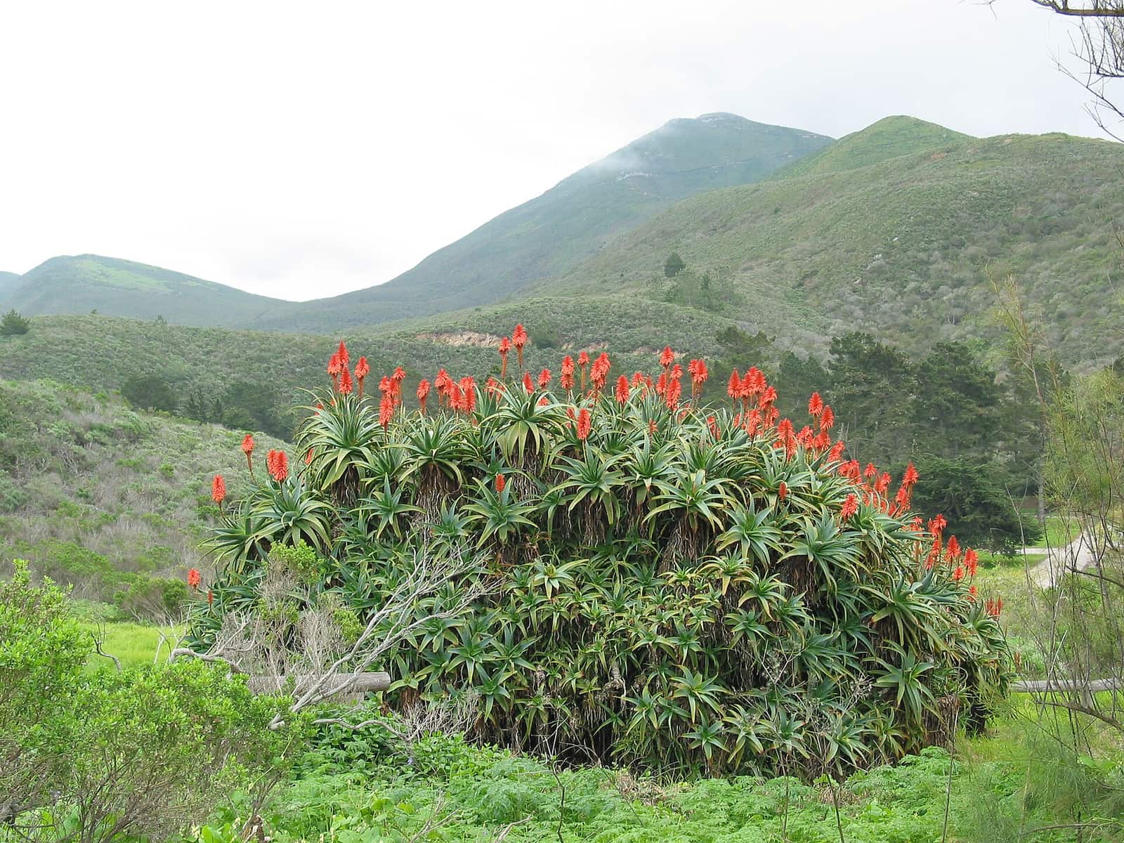 Montana De Oro State Park