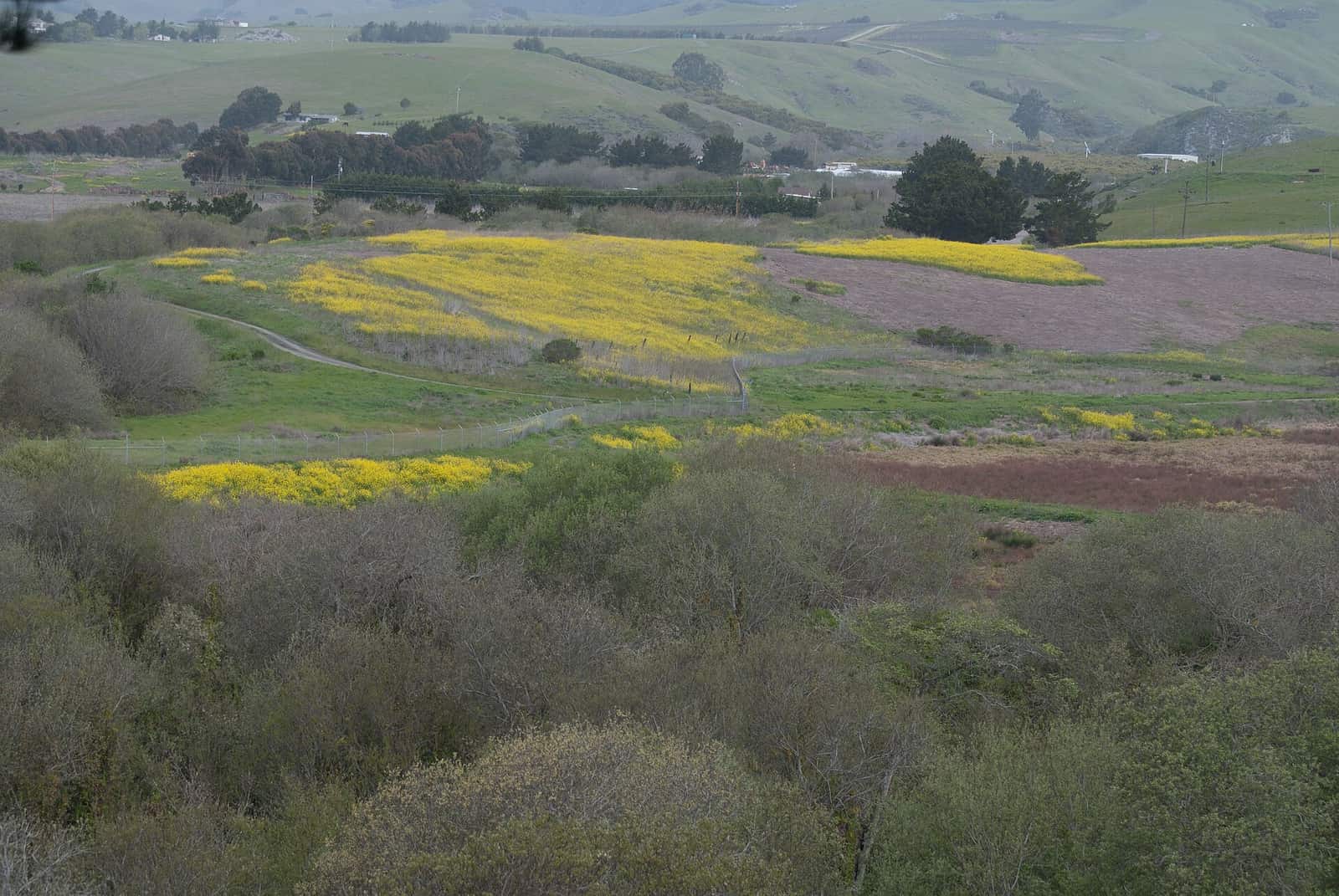 Hearst san simeon state park