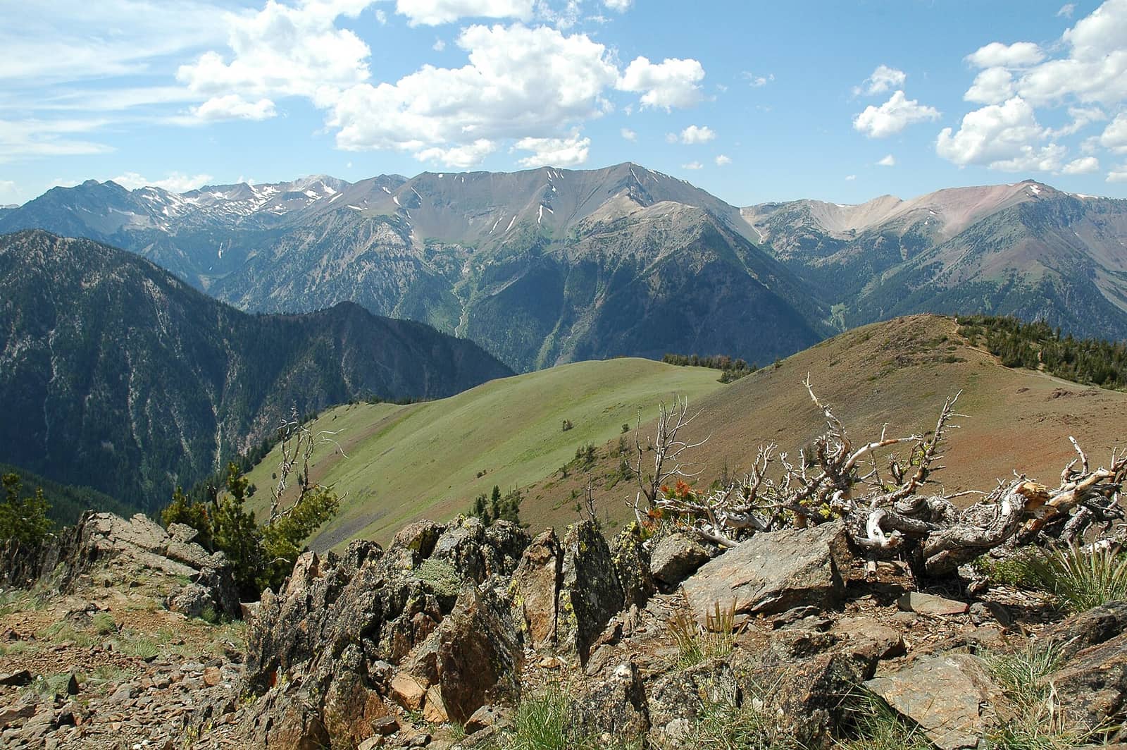 Wallowa Whitman National Forest